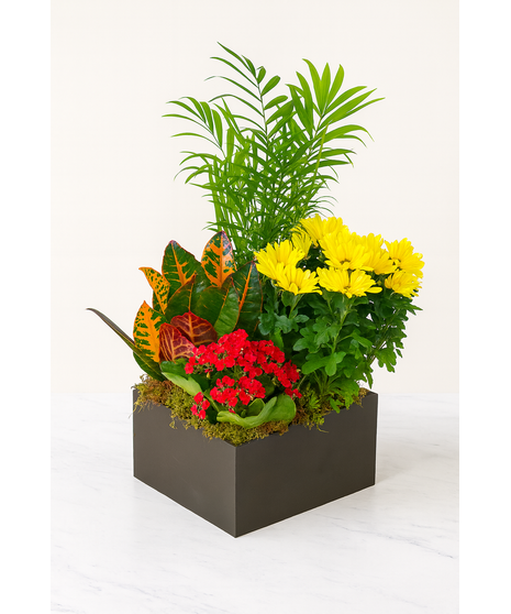 Golden Horizon Garden