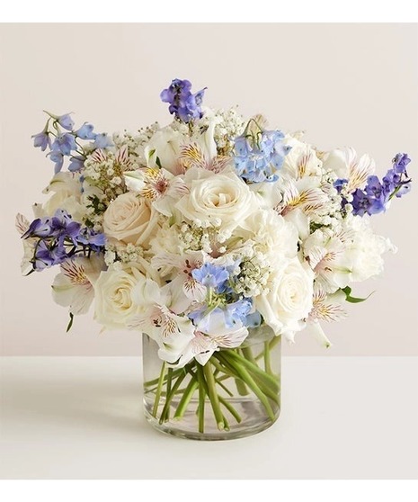 Water Under the Bridge