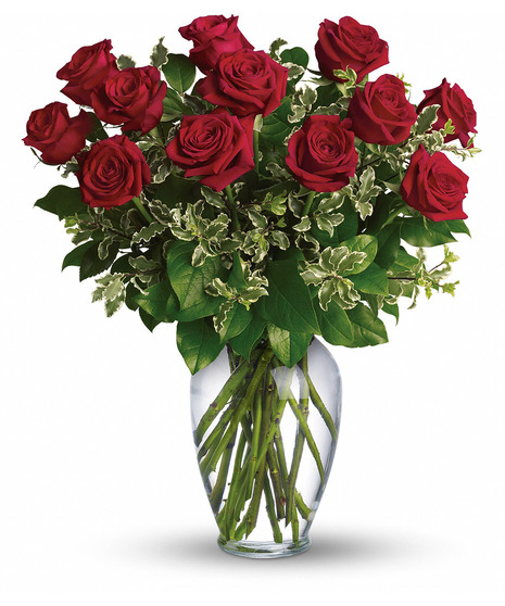 Classic Red Roses