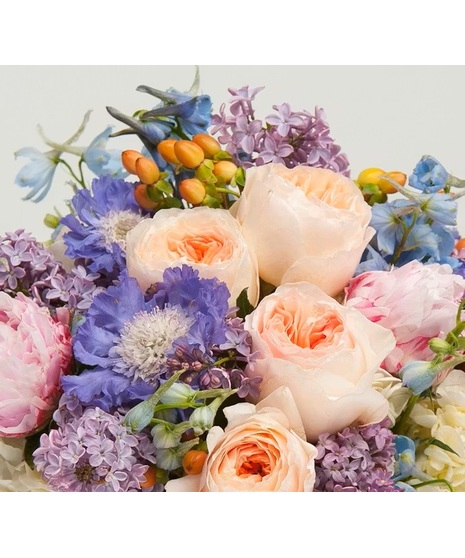 Soft Pastel Watercolor - Designer Choice