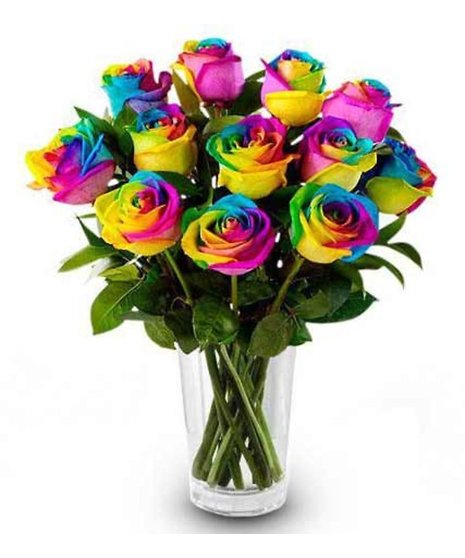 Dozen Rainbow Roses