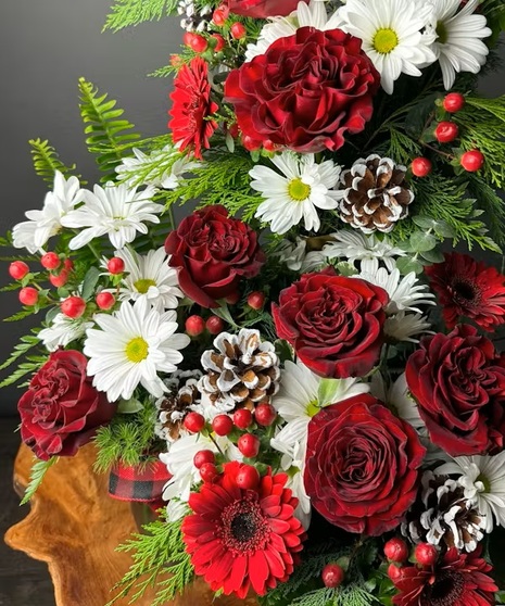 JOLLY - Designer's Mix