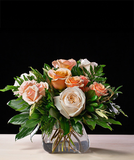 Peach Passion