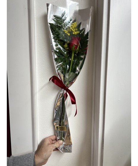 Single Wrapped Rose