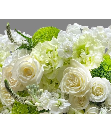 White - Designer Choice