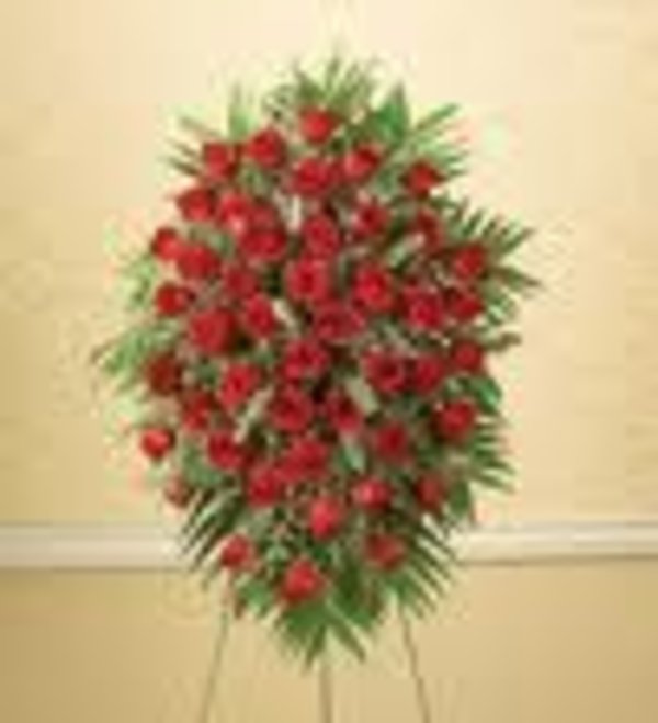 4 Dozen Red Roses -Standing Spray