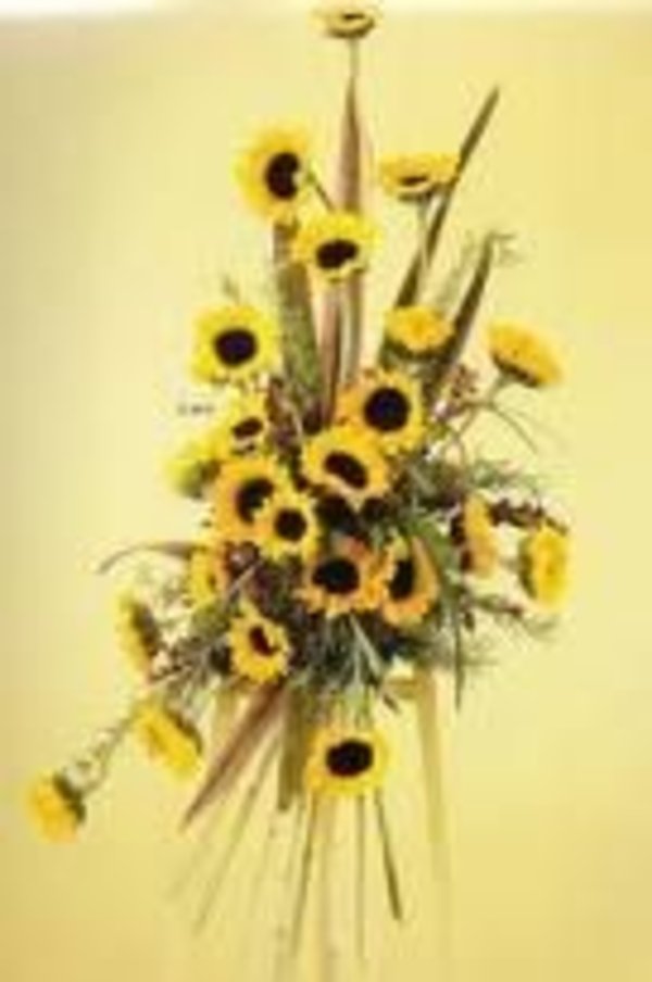 Sunflower Spray
