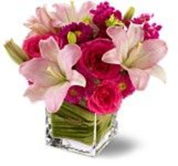 Posh Pinks