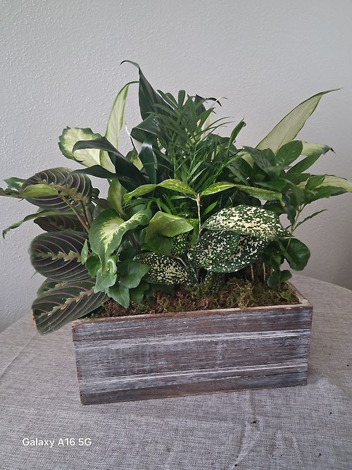 Verdant Retreat