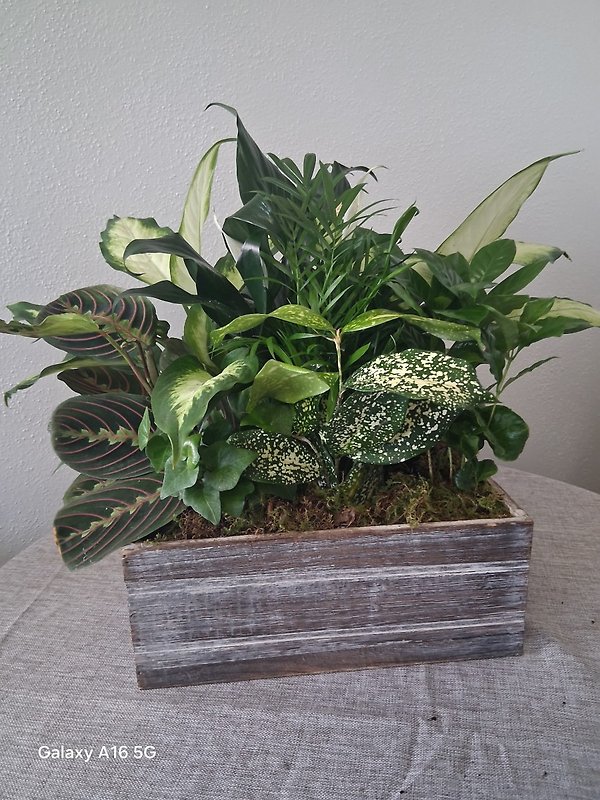 Verdant Retreat