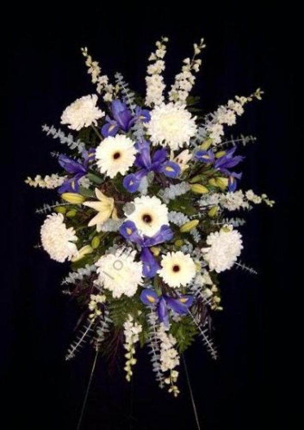 Blue & White spray