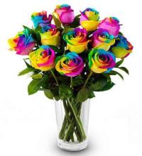 1 Dozen Rainbow Roses