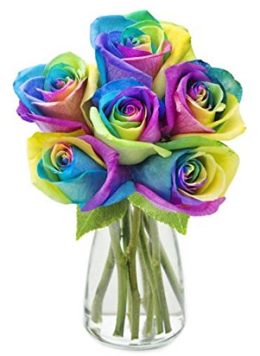 Half Dozen Rainbow Roses