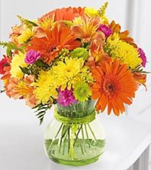 Brighten Your Day Gerbera Arrangment