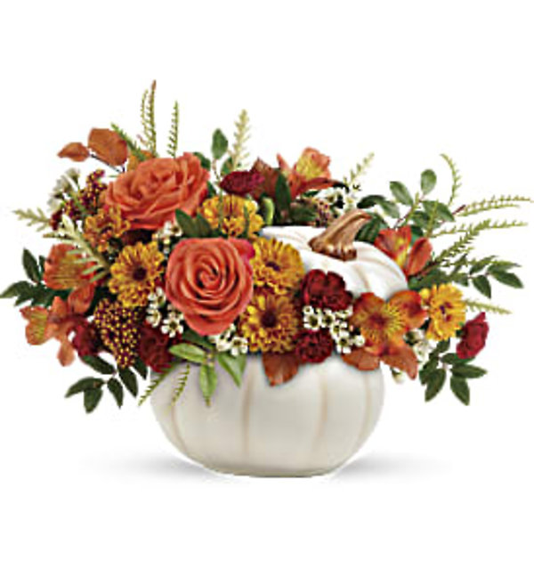 Enchanted Harvest Pumpkin