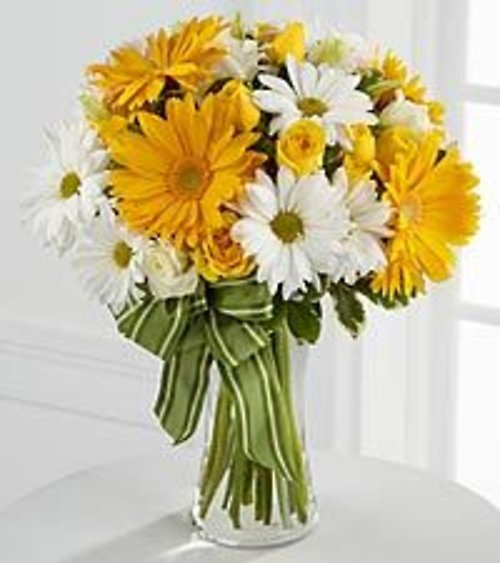 Gerberas and Dasies
