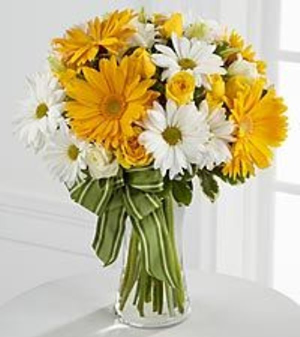 Gerberas and Dasies