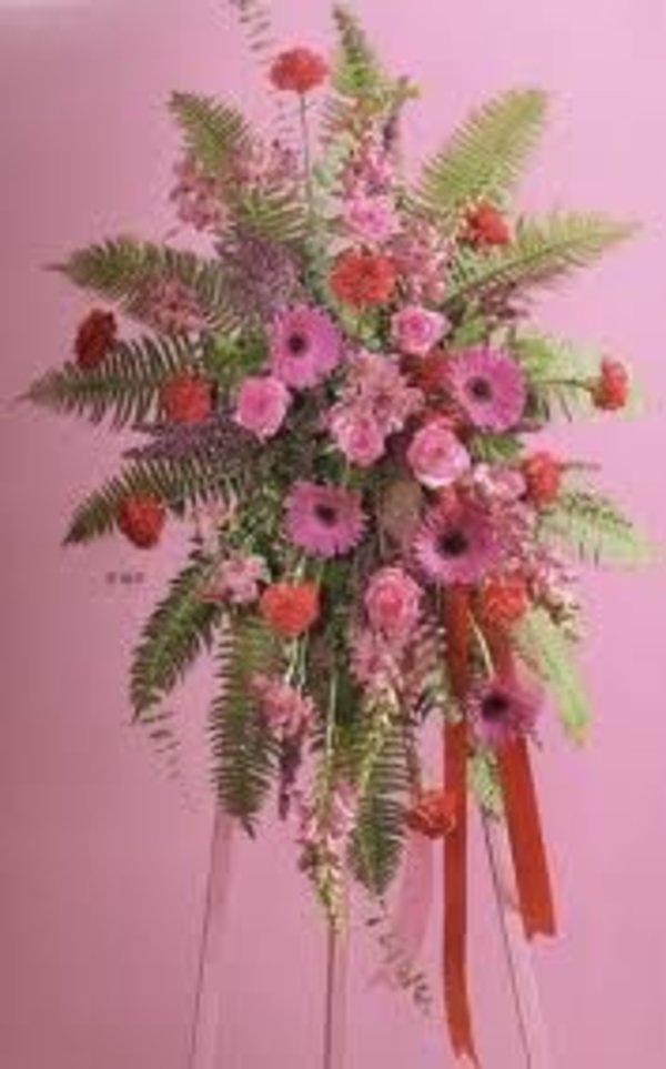 Red & Pink spray