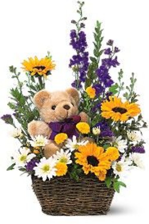 TF Basket & Bear arrangement