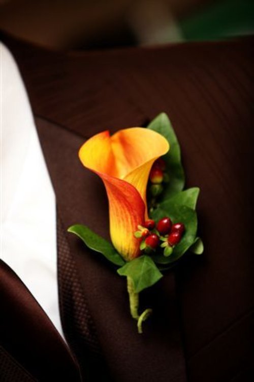 Fall Calla