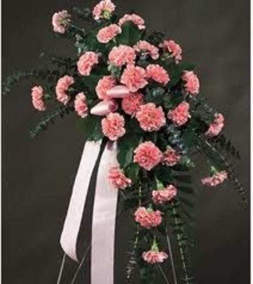 Pink Carnation Spray