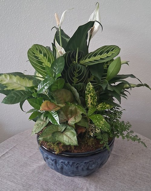 Emerald Harmony