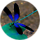 R J