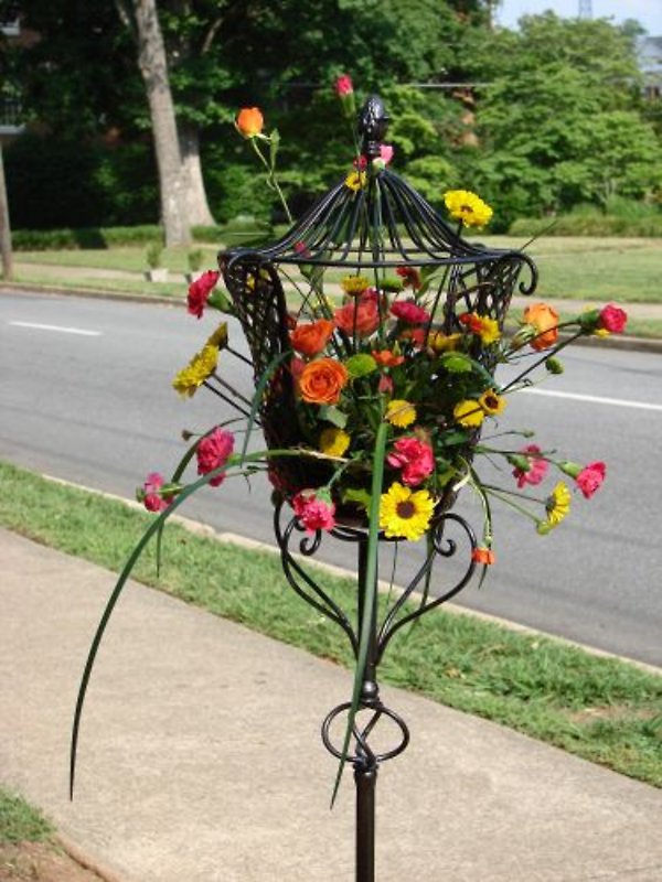 Creative Designs