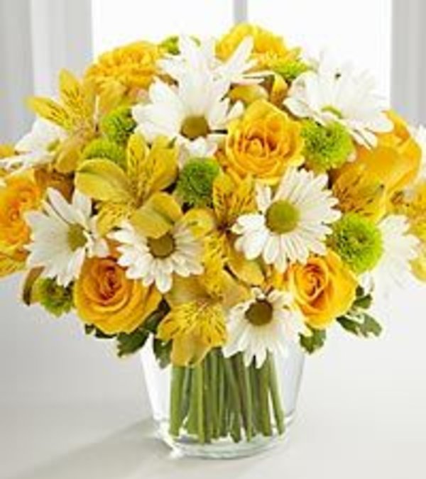 Sunny Sentiments