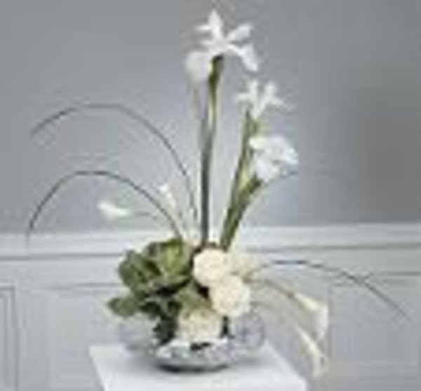 White Stylized Sympathy
