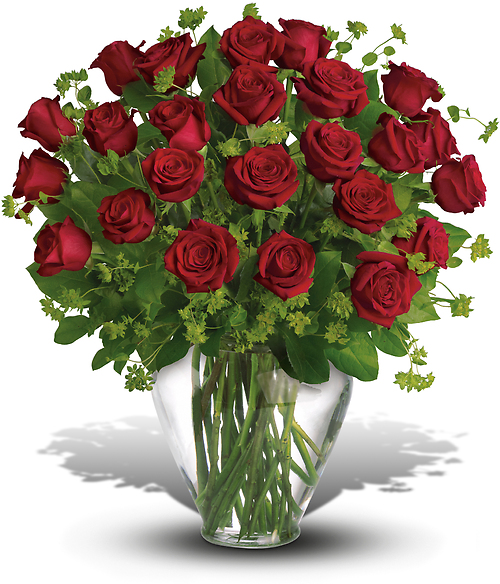 My Perfect Love - 2 Dozen Red Roses